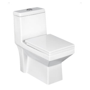 Parryware Floor Mounted White One Piece WC Sutra C8965 With S Trap