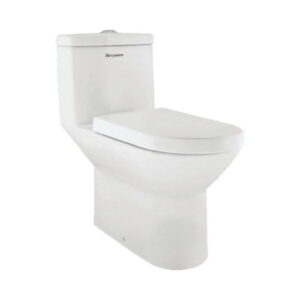 Parryware Floor Mounted White 1 Piece WC Force C021H With S-Trap