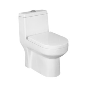 Parryware Floor Mounted White 1 Piece WC Prime Plus PRIME PLUS C8918 with S-Trap