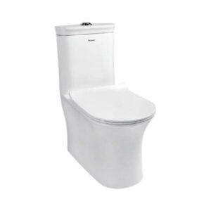 Parryware Floor Mounted White Single Piece WC Vista VISTA C899G with S-Trap